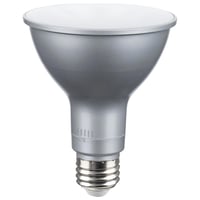 SATCO S32240