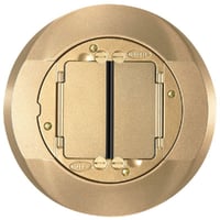 S1CFCBRSSystemOne, Carpet Flange and Cover Assembly, Conduit, Ceiling, 8 Inch, Brass, Cast Aluminum