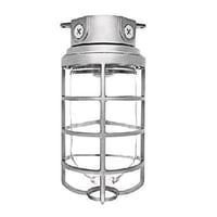 RAB VX200DG VX Series HID Outdoor Vaporproof Light Fixture, A-19 Incandescent Lamp, 120/208/240/277 VAC, Natural Housing