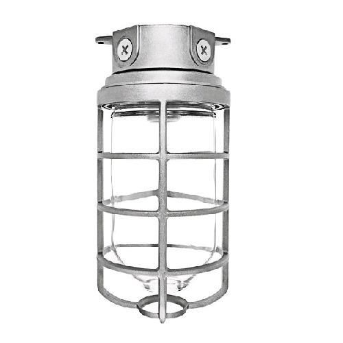 RAB VX200DG VX Series HID Outdoor Vaporproof Light Fixture, A-19 Incandescent Lamp, 120/208/240/277 VAC, Natural Housing
