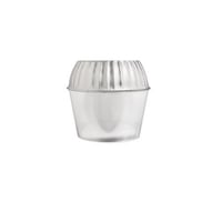 RAB GLWPTGW Replacement Lens, For Use With WPTG Tallpack with Glass Refractor