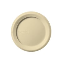 Lutron RK-IV Decorative Wallplate, Plastic, Ivory