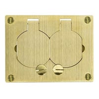 Wiremold® Omnibox™ 828R 2-Outlet Assembled Faceplate, 4-3/16 in L x 3-1/8 in W, 1 Gangs, Brass