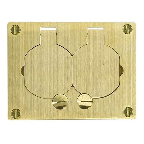 Wiremold® Omnibox™ 828R 2-Outlet Assembled Faceplate, 4-3/16 in L x 3-1/8 in W, 1 Gangs, Brass