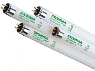 Sylvania PENTRON® FP14/835/ECO/20908 High Output Fluorescent Lamp, 14 W, Miniature Bi-Pin Fluorescent Lamp, 1200 Lumens, 85 CRI, 3500 K, 22.17 in L