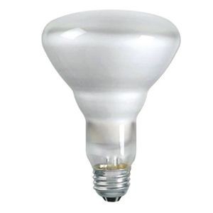Shat-R-Shield® Philips® 01222 Shatter-Resistant Incandescent Lamp, 65 W, E26 Medium Incandescent Lamp, BR30 Shape, 605 Lumens