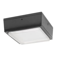 RAB VANLED20 Vandalproof Canopy Lighting, LED Lamp, 22 W Fixture, 120/208/240/277 VAC, Bronze Housing
