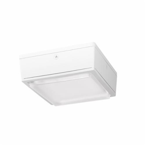 VANLED40WRAB VANLED40W Vandalproof Canopy Lighting, LED Lamp, 39 W Fixture, 120/208/240/277 VAC, White Housing