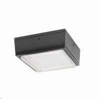 RAB VANLED75 Vandalproof Canopy Lighting, LED Lamp, 76 W Fixture, 120/208/240/277 VAC, Bronze Housing