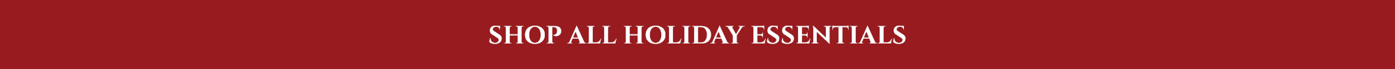 holiday essentials banner