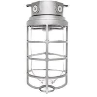 RAB VX200DG-3/4 VX Series HID Outdoor Vaporproof Light Fixture, A-19 Incandescent Lamp, 120/208/240/277 VAC, Natural Housing