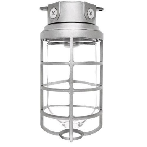 RAB VX200DG-3/4 VX Series HID Outdoor Vaporproof Light Fixture, A-19 Incandescent Lamp, 120/208/240/277 VAC, Natural Housing