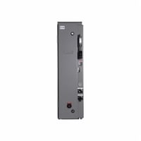 ECN5422CAEEATON EZ Box™ EZB2036RBS Freedom Standard Width Panelboard Box With Disconnect Switch, 36 in H x 20 in W x 8.47 in D, NEMA 3R