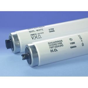 Sylvania ECOLOGIC® F96T12/CW/HO/CT/ECO/25129 Coated High