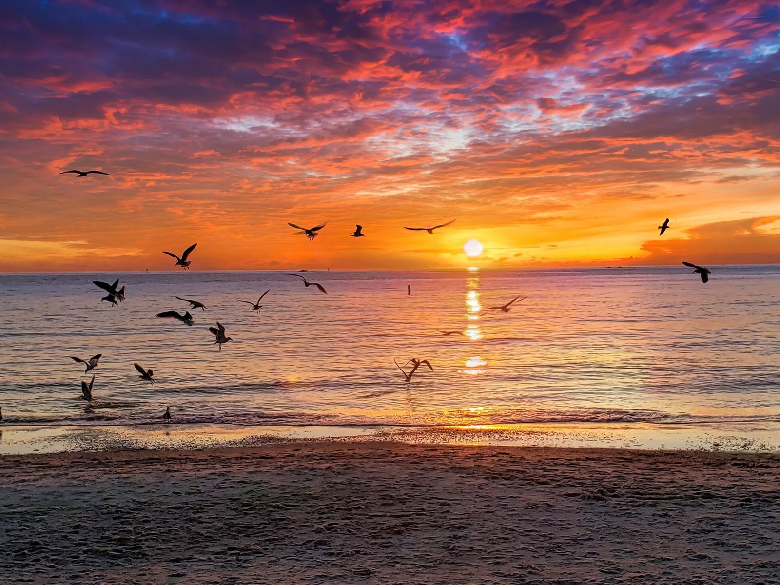 Colorful Florida sunset over a sandy waterfront beach, with orange and purple clouds reflecting on the water, seabirds flying overhead, and two people walking along the shoreline.