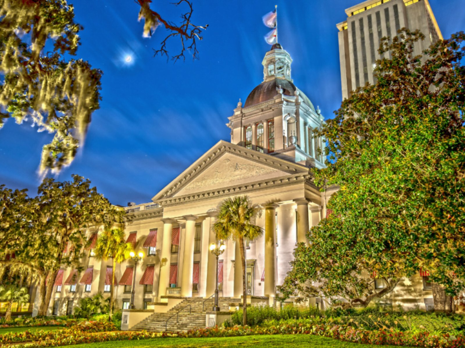 Florida’s Historic Capitol illuminated at night, framed by trees and the modern Capitol tower in Tallahassee.