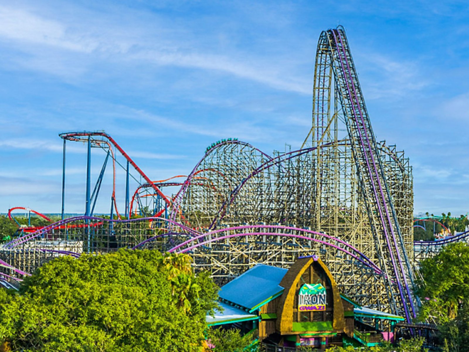 Roller coasters at Busch Gardens Tampa Bay, including colorful steel tracks and a large wooden coaster structure
