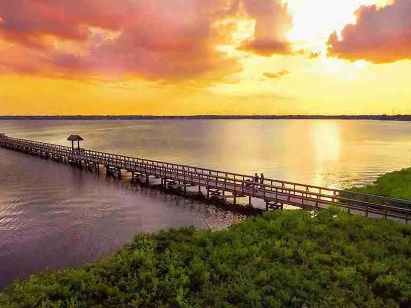 Long wooden fishing pier extending over calm waterfront waters in Oldsmar, Florida, beneath a vibrant golden-orange sunset, with green coastal vegetation in the foreground.