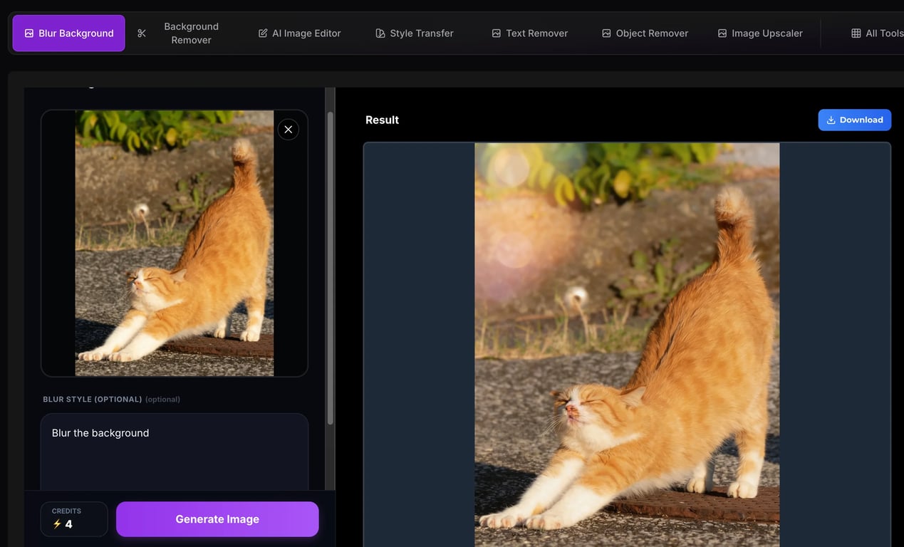 Preview and Download