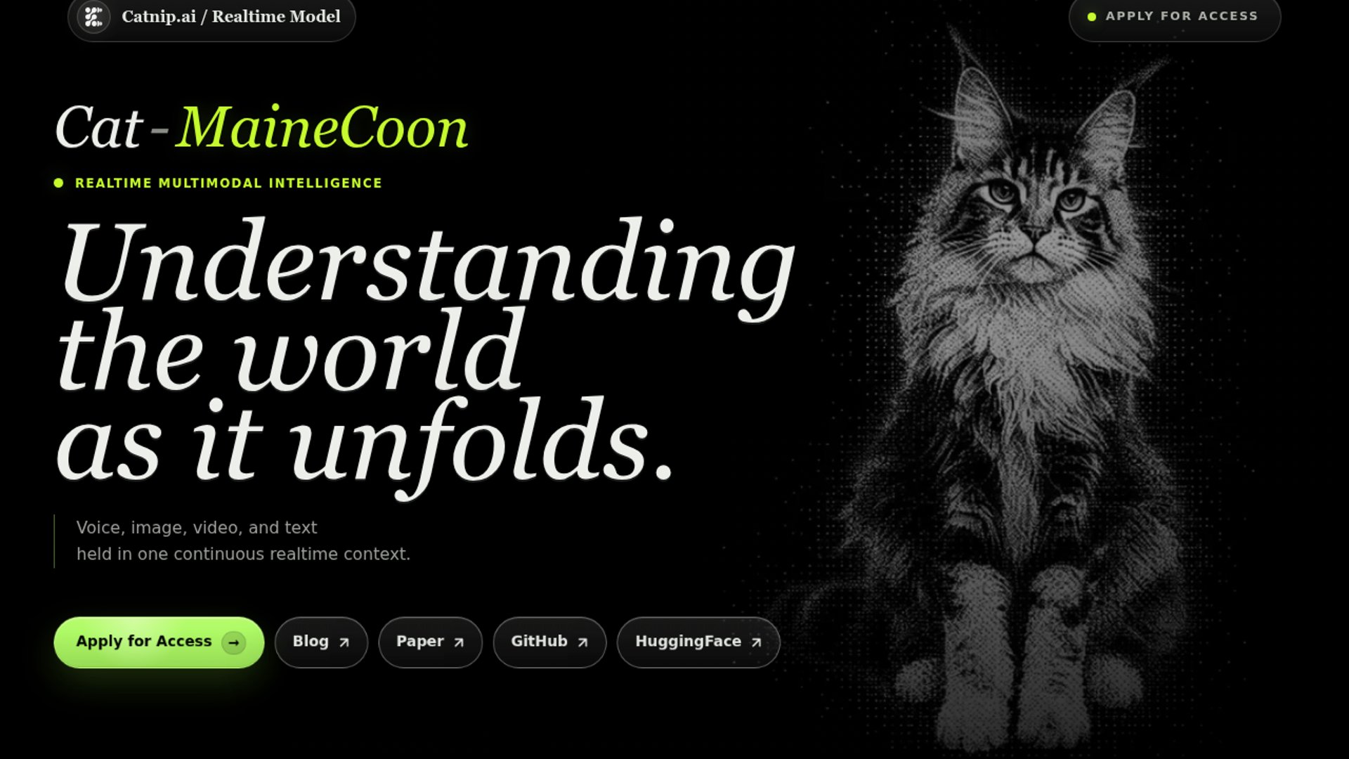 MaineCoon enables full-duplex audio-visual interaction