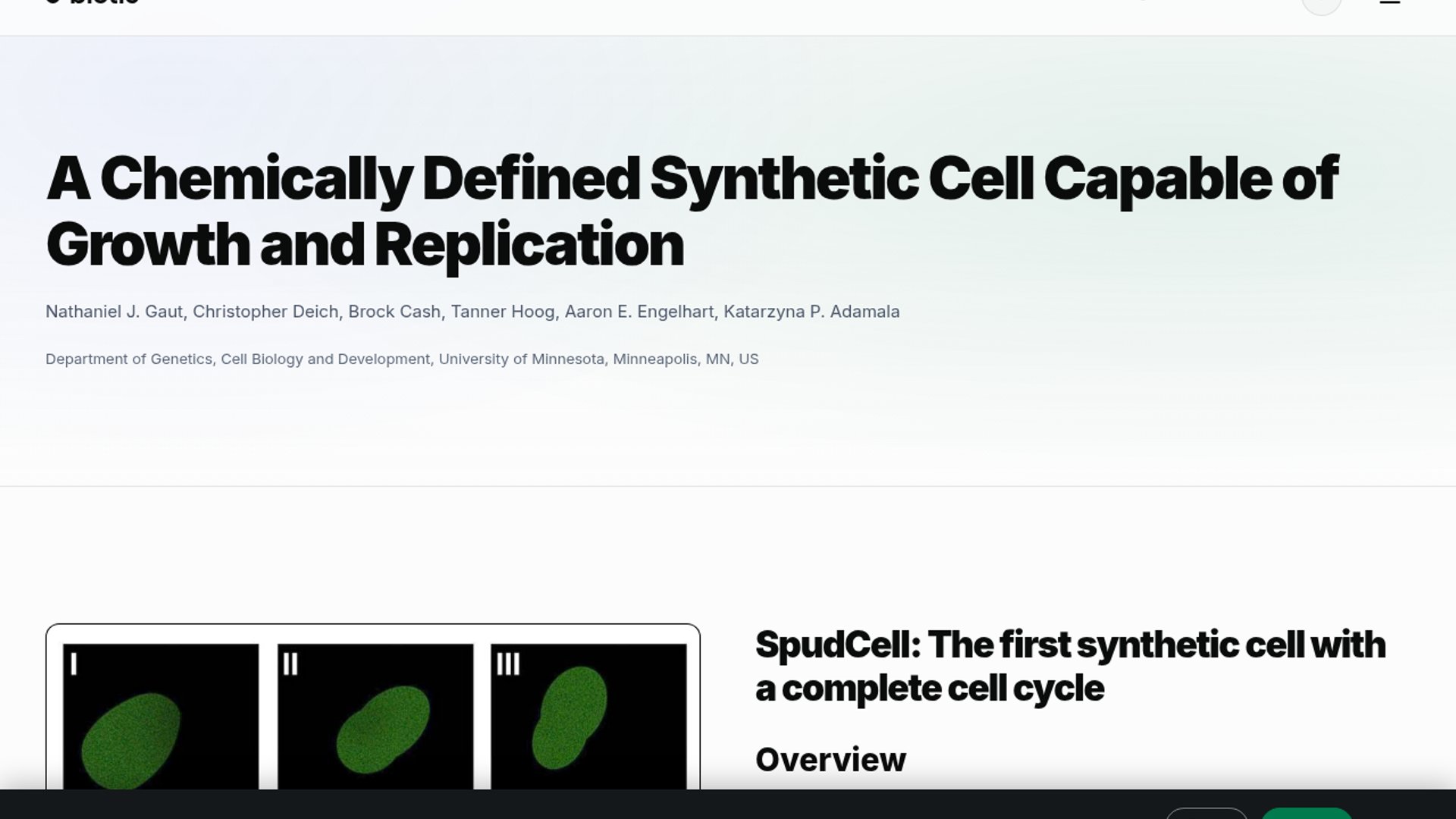 SpudCell completes first synthetic cell cycle