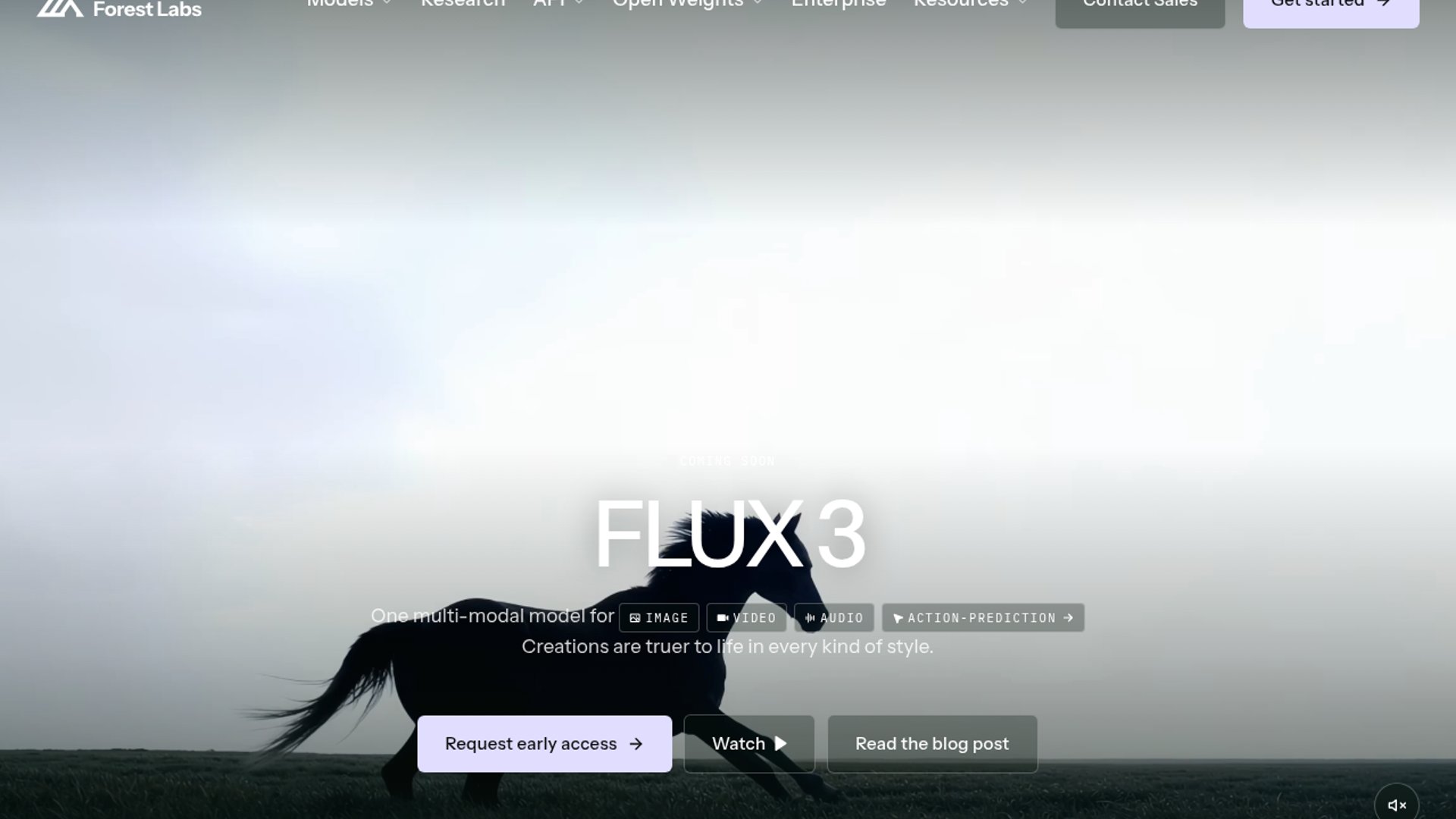 Black Forest Labs previews multimodal model Flux 3