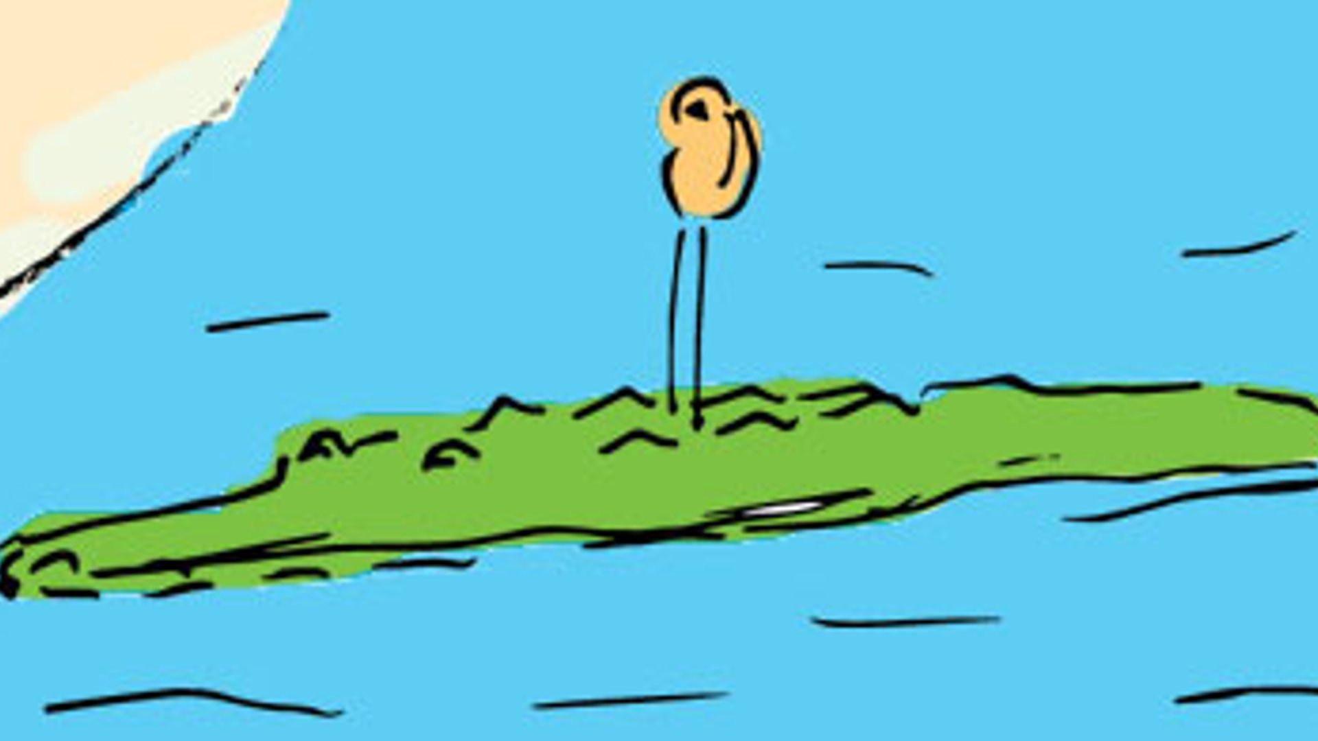 Croc simplifies end-to-end encrypted file transfers