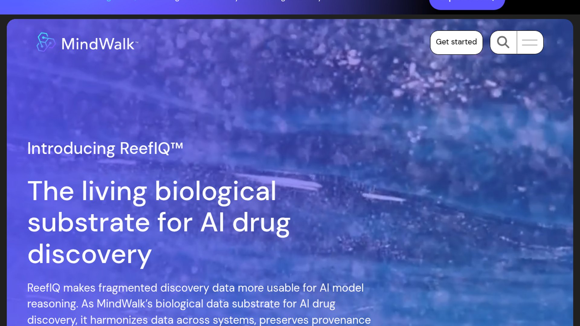 ReefIQ hits 5x inference speedup on AMD MI325X