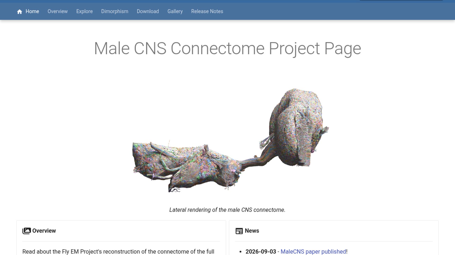 Google, Janelia Publish Male CNS Connectome