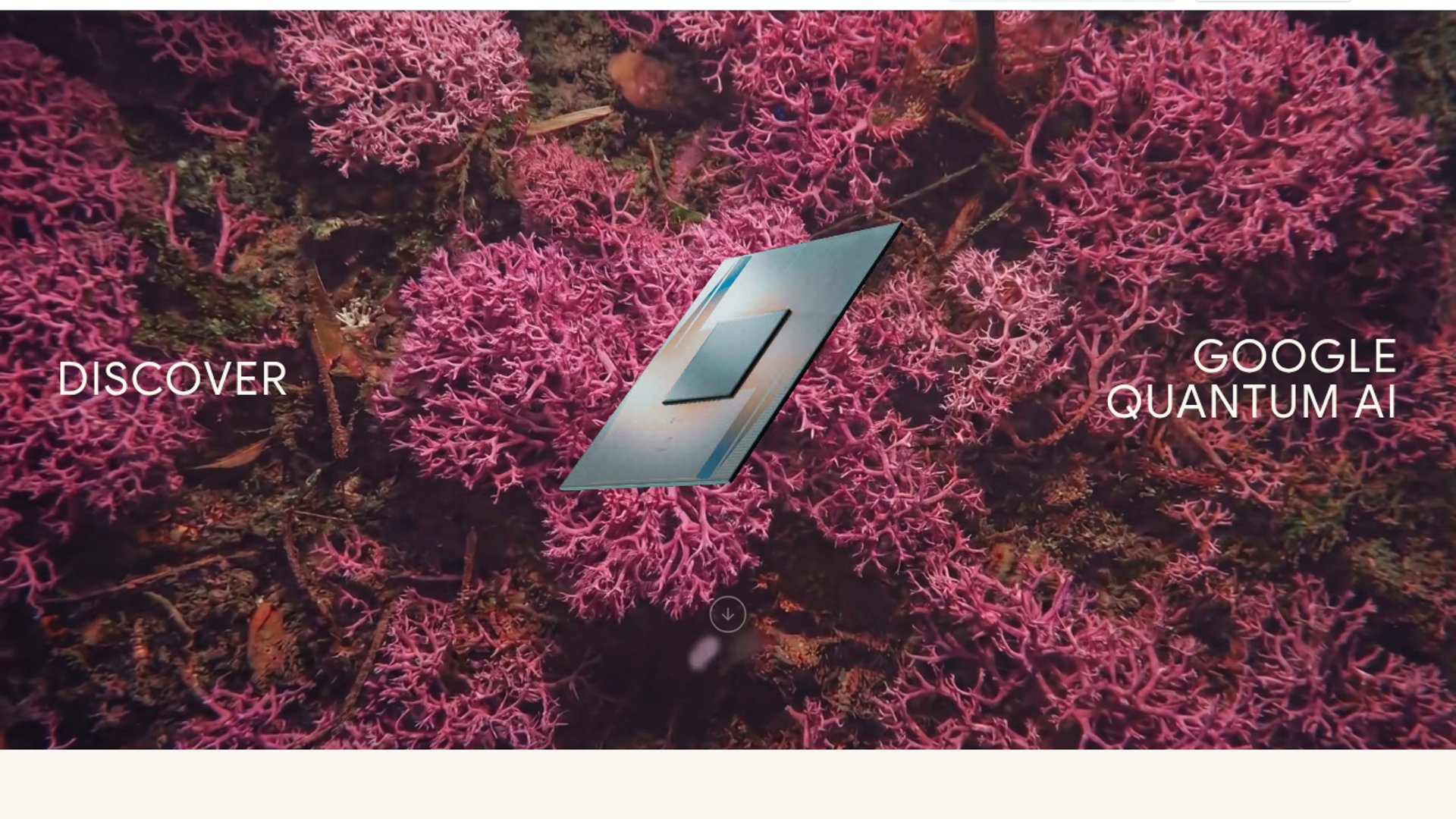 Google Quantum AI recalibrates Willow with reinforcement learning