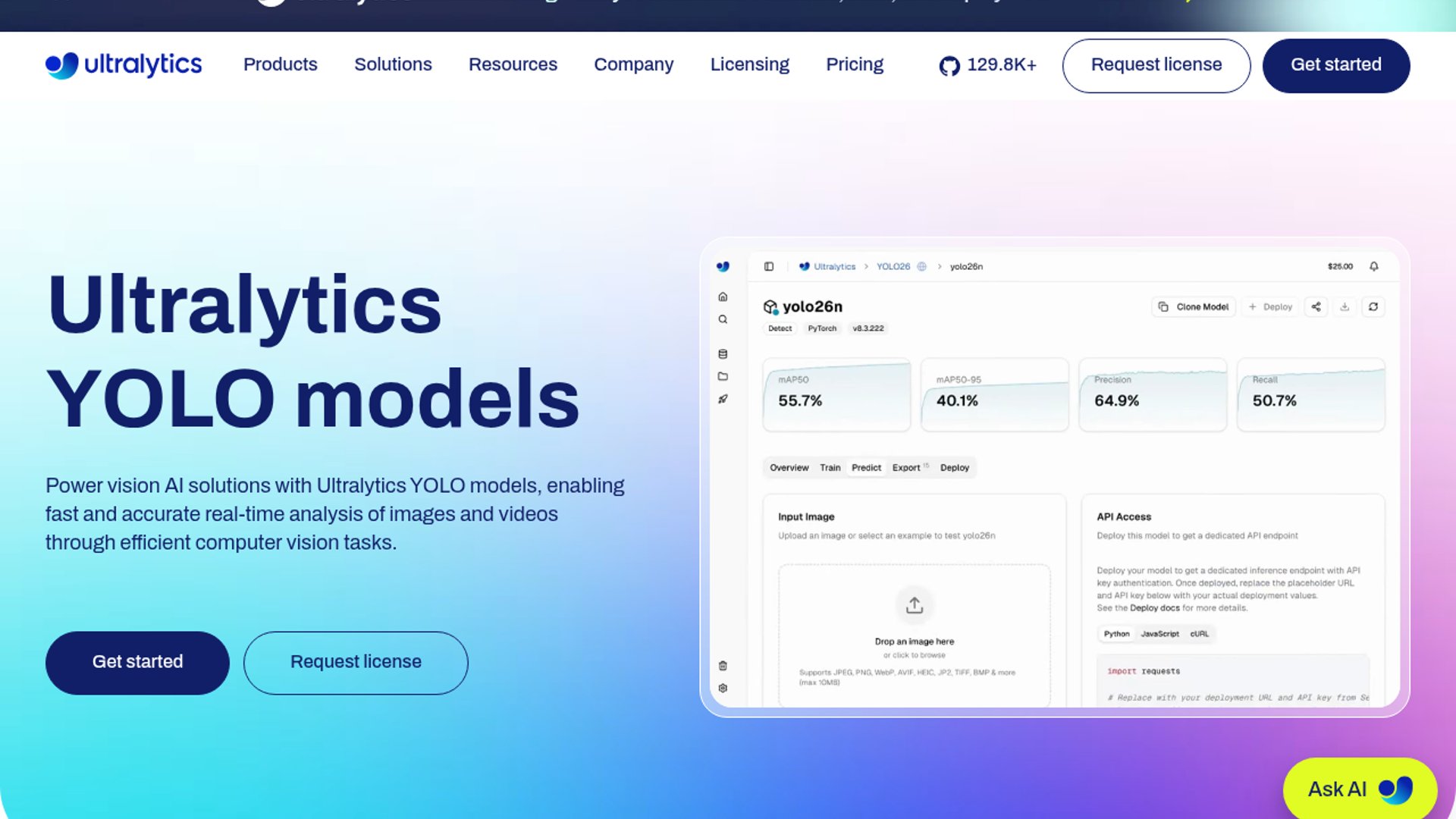 YOLO11n Hits mAP, Falters in Practice