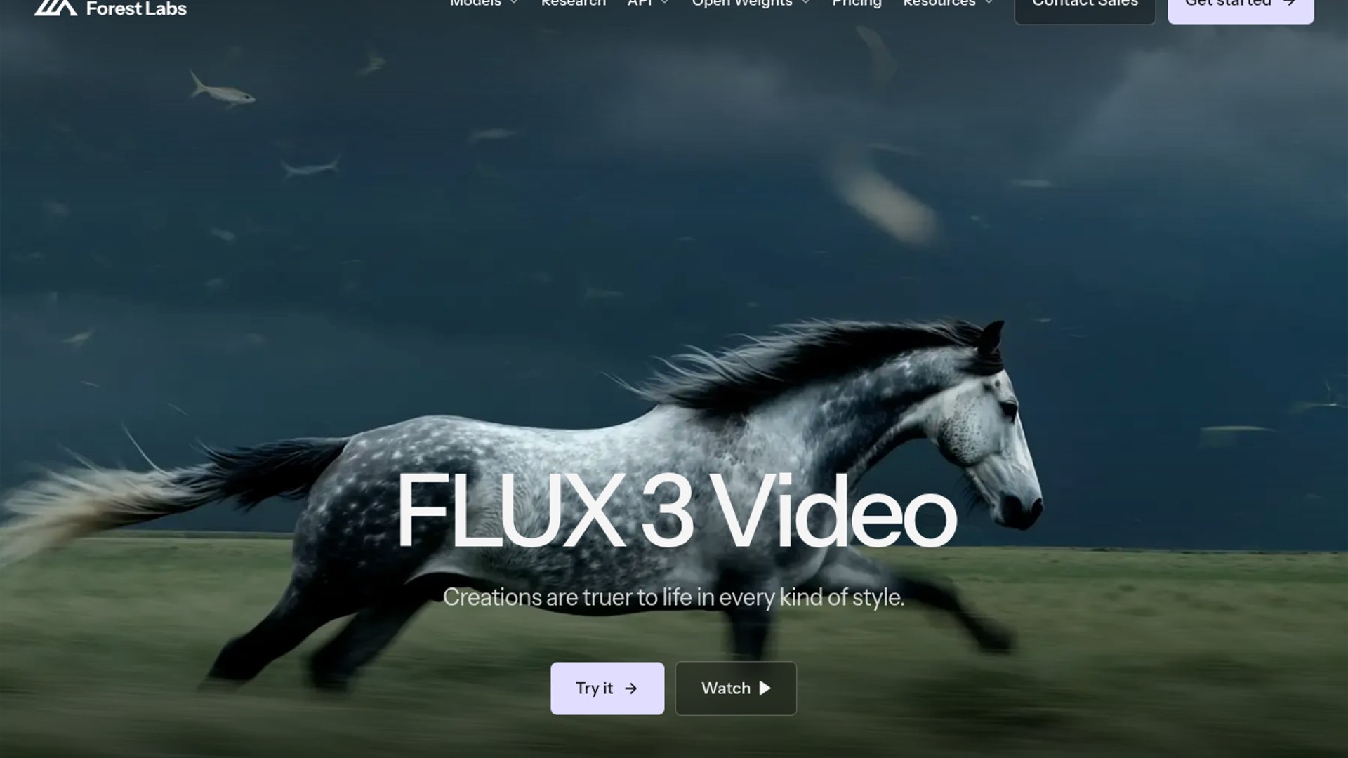 FLUX 3 Video Rates C Tier