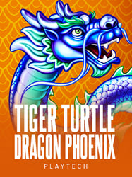 Tiger Turtle Dragon Phoenix by Playtech – play at Gamba