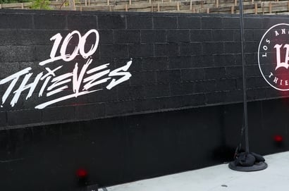 100 Thieves