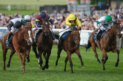 1000 guineas newmarket