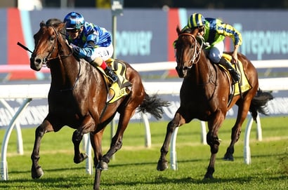 Sydney Cup Tips - Zardozi and Circle Of Fire can challenge Alalcance in Sydney Cup