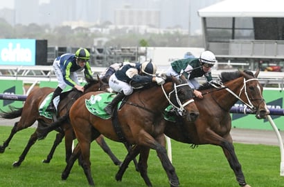 2024 Turnbull Stakes