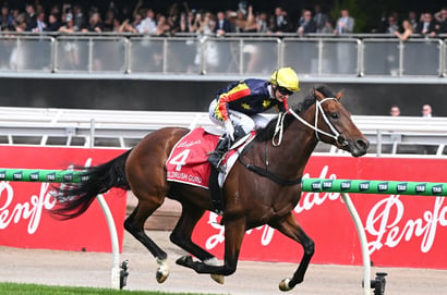 Victoria Derby Tips - Observer to stamp authority with win in three-year-old staying classic