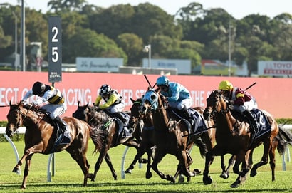 Australian Derby Tips - Will the New Zealander do it in the Australian Derby?