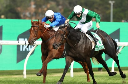 2025 Golden Slipper Marhoona