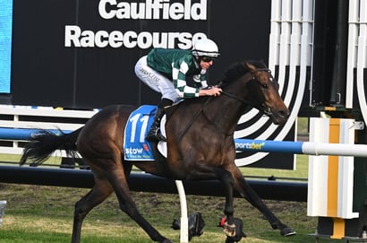 2025 Memsie Stakes Treasurethe Moment