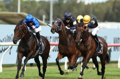 Rosehill Guineas Racing Tips- Observer gets the nod in what shapes as match race against Autumn Boy