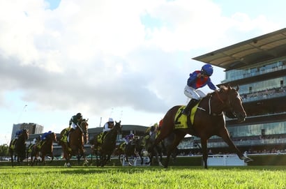 2025 Sydney Cup Randwick Arapaho