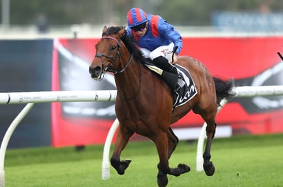 2025 Tancred Stakes Dubai Honour