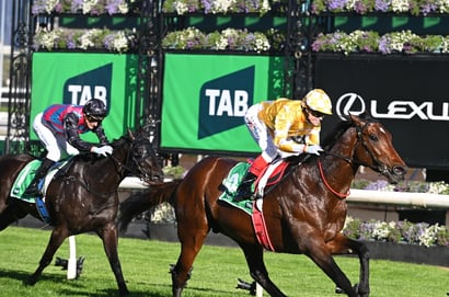 2025 Turnbull Stakes