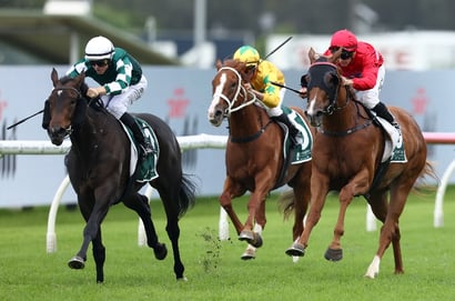 2025 Vinery Stud Stakes