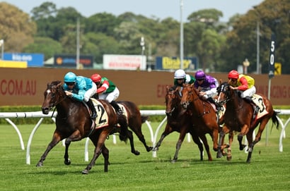 2026 Golden Slipper Barriers