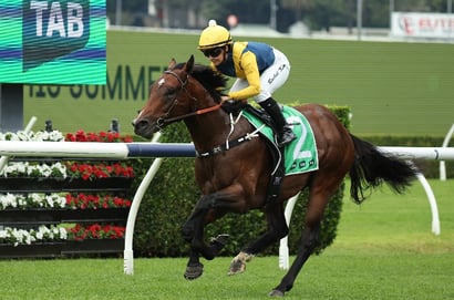 2yo classic barriers