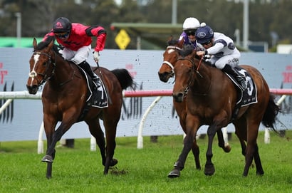 3yo guineas barriers