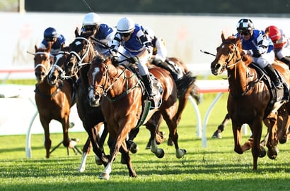 A strong Sunday racing card for Durbanville.